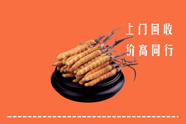 罗源县回收散虫草