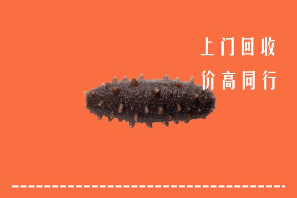 罗源县回收海参
