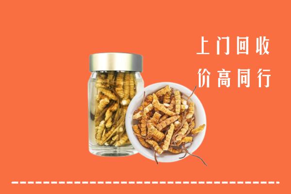 罗源县回收冬虫夏草
